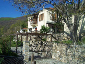 Malamo's home